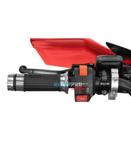 quad elettrico per bambini 1000W