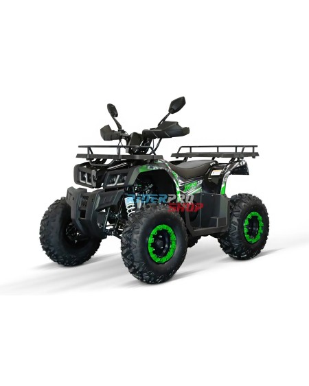 Quad 200cc Adulte Reptile RS10-CVT Platin : Performance Premium