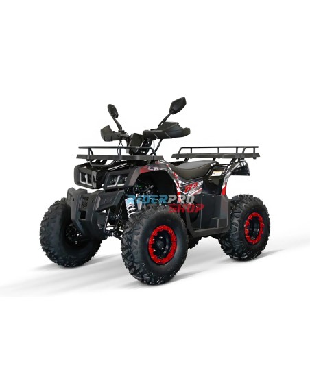 Quad 200cc Adulte Reptile RS10-CVT Platin : Performance Premium