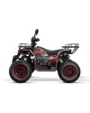 Quad 200cc Adulte Reptile RS10-CVT Platin : Performance Premium