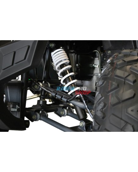 quad 200cc adulte