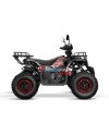 Quad 200cc Adulte Reptile RS10-CVT Platin : Performance Premium