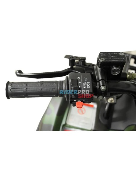 quad 250cc cross