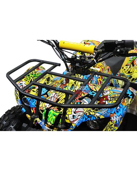 beste elektrische quad 1000W