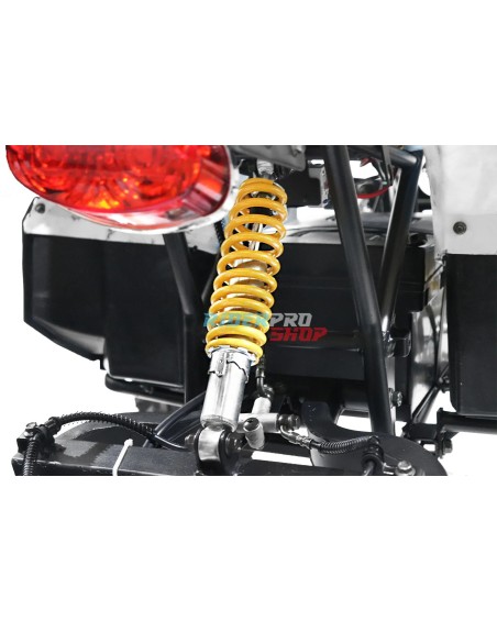 beste elektrische quad 1000W