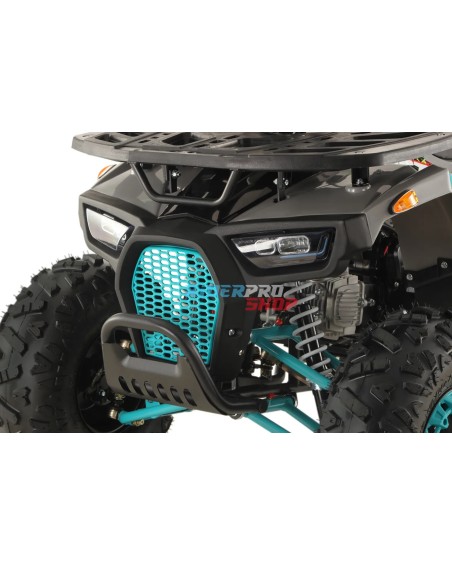 quad 125cc adulte