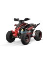 Quad 250cc Premium Celavi RS10 Platinum pour Aventures Sécurisées