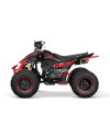 Quad 250cc Premium Celavi RS10 Platinum pour Aventures Sécurisées