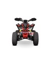 Quad 250cc Premium Celavi RS10 Platinum pour Aventures Sécurisées