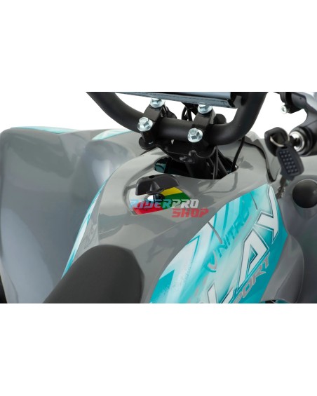 mini quad per bambini 1200W