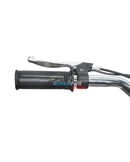 mini moto électrique 1000W