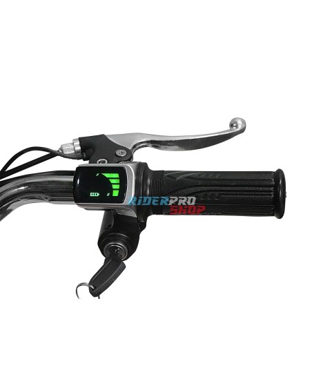 mini moto électrique 1000W