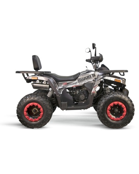 Quad 200cc Quablo CVT RS Platin - 200cc Quad