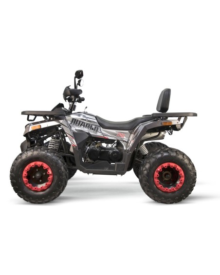 ATV 200cc Premium Quablo CVT RS Platin : Aventură și Siguranță