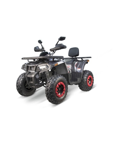 Quad 200cc Premium Quablo CVT RS Platin : Aventure et Sécurité