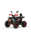 ATV 125 Neomologat Premium Dustrider RS8-3G Sport
