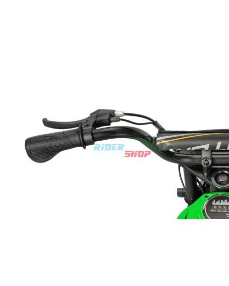 Mini Moto Électrique 350W