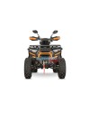 Quad Adulte Haut de Gamme Tricia CVT RS10 Platinum