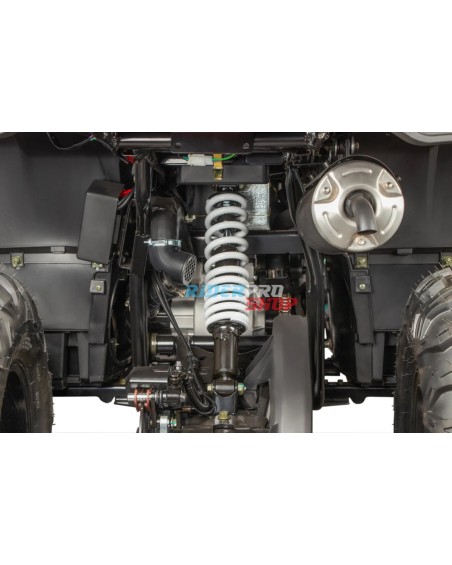 Tricia CVT RS10 Platinum quad adulte non homologué - quad voor volwassenen niet toegelaten voor het openbaar verkeer