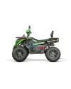 Tricia CVT RS10 Platinum - adult non-homologated quad