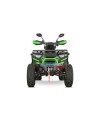 Quad Adulte Haut de Gamme Tricia CVT RS10 Platinum