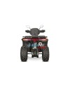 Tricia CVT RS10 Platinum quad adulte non homologué - quad voor volwassenen niet toegelaten voor het openbaar verkeer