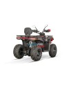 Tricia CVT RS10 Platinum - adult non-homologated quad