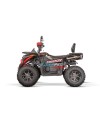 Tricia CVT RS10 Platinum - adult non-homologated quad