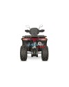 Quad Adulte Haut de Gamme Tricia CVT RS10 Platinum