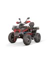 Quad Adulte Haut de Gamme Tricia CVT RS10 Platinum