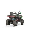 Tricia CVT RS10 Platinum quad adulte non homologué - quad voor volwassenen niet toegelaten voor het openbaar verkeer