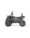 Quad Adulte Haut de Gamme Tricia CVT RS10 Platinum