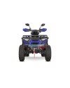 Tricia CVT RS10 Platinum - adult non-homologated quad