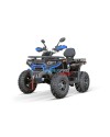 Quad Adulte Haut de Gamme Tricia CVT RS10 Platinum