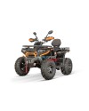 Tricia CVT RS10 Platinum - adult non-homologated quad