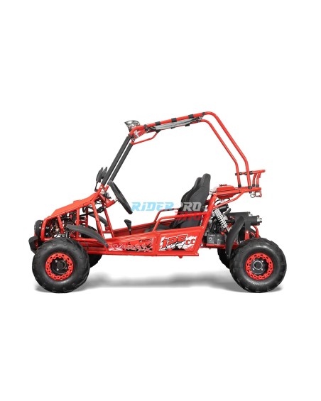 Buggy 125cc Gokart 2 locuri - 6 kW, 40 km/h | XtremRS
