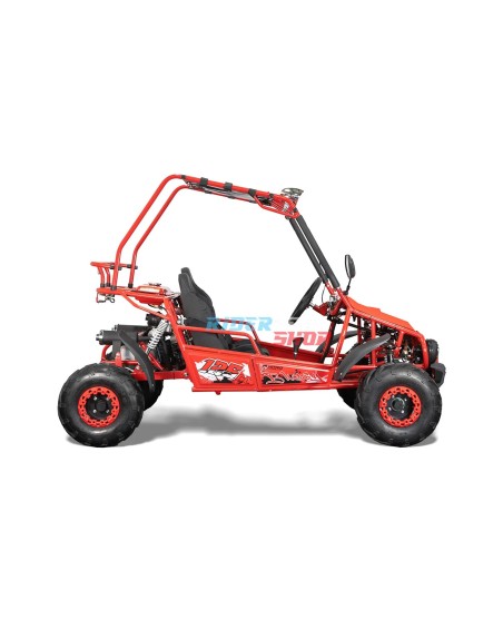 Buggy 125cc Gokart 2 locuri - 6 kW, 40 km/h | XtremRS