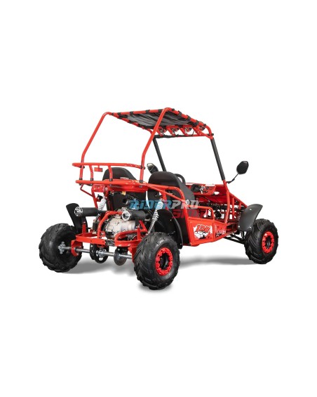 Buggy 125cc Gokart 2 locuri - 6 kW, 40 km/h | XtremRS