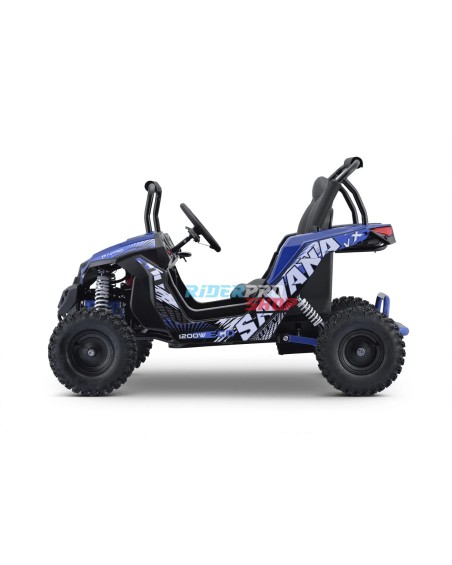 48V Buggy