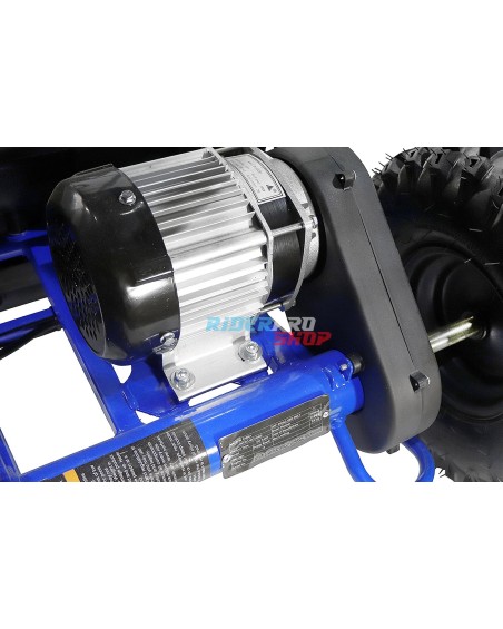 Buggy Nitro Motors