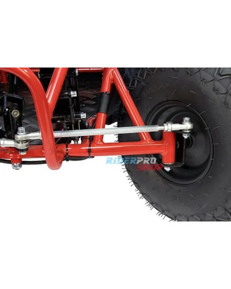 Nitro Motors Buggy Racer PRM 6 ALM