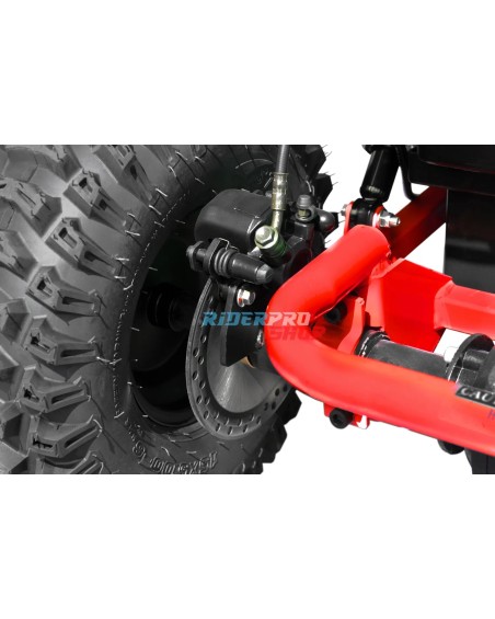 48V elektrische buggy