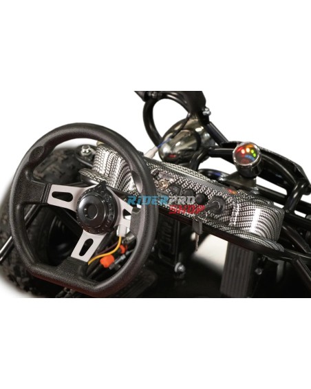 2-persoons buggy