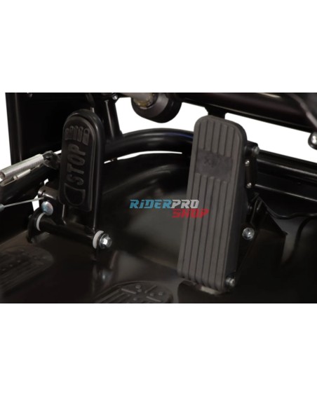 2-persoons buggy