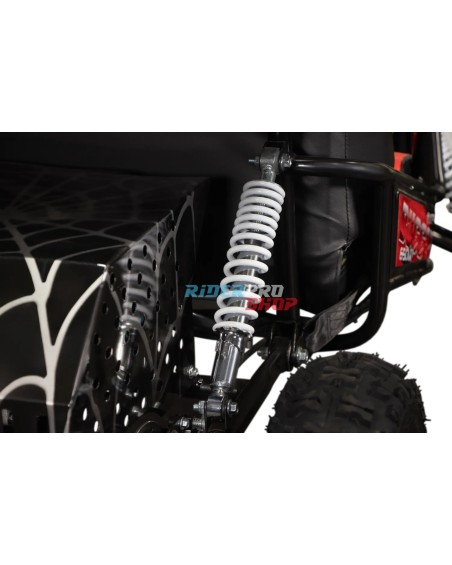 2-persoons buggy