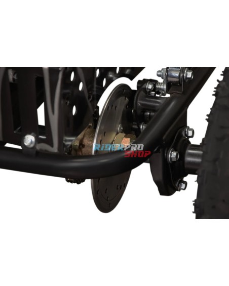 2-persoons buggy