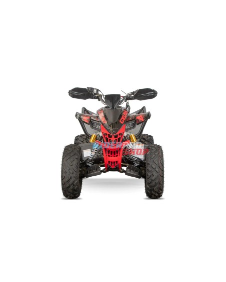 Quad 250 Raptor Style Premium Celavi RS10