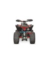 Quad 250 Raptor Style Premium Celavi RS10