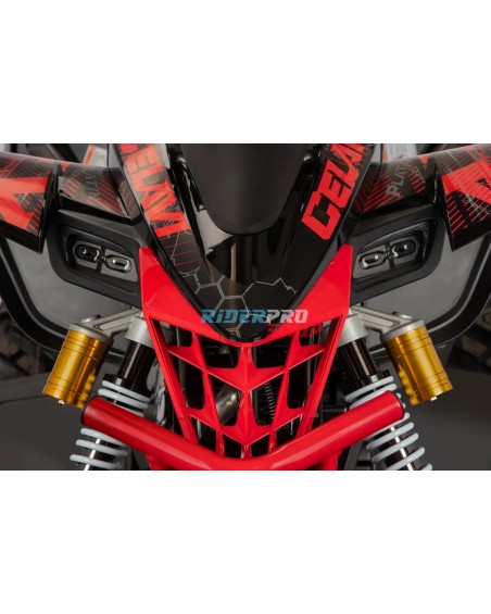 Quad 250 raptor