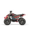 Quad 250 Raptor Style Premium Celavi RS10